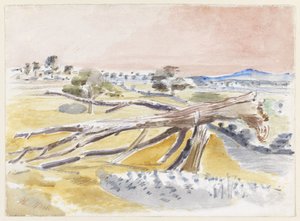 モンスターフィールド、スタディⅡ 作： Paul Nash