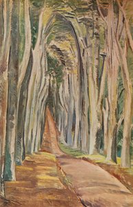 Savernake Forest、1935年
