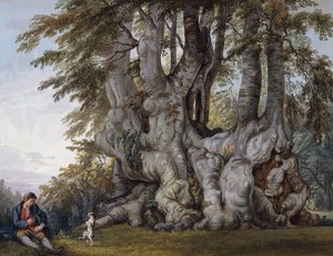 古代の節くれだったブナの木の根元で犬のダンスをする少年、 作： Paul Sandby