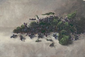 スミレ、カリフォルニア州。 1890年。 作： Pauline Powell Burns
