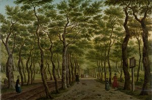 Haagse Bos のヘレパッド ハーグ近郊のスヘフェニンゲンの森 作： Paulus Constantijn la Fargue (signed by artist)