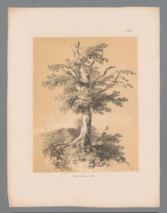 ブーム Paulus Lauters の Picturesque Faces (シリーズ タイトル) Etrennes pittoresques pour 1839、Lauters作（シリーズタイトル）