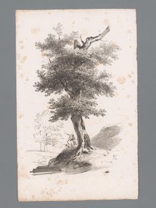 木のある風景 ランドスケープの原則（シリーズタイトル） Principes de Paysages (シリーズタイトル) 作： Paulus Lauters