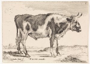 斑点のある牛 牛と牛（シリーズタイトル） 作： Paulus Potter (rejected attribution)