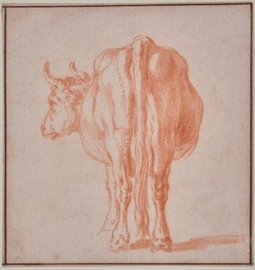 ウシ（動物研究） 作： Paulus Potter