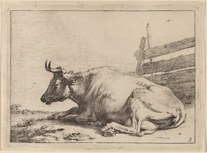 フェンスの近くに横たわる牛 作： Paulus Potter