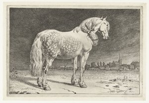 フリージアの馬 馬（シリーズタイトル） 作： Paulus Potter