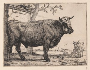 雄牛、様々な牛と牛から 作： Paulus Potter