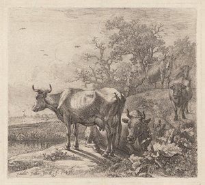 臆病者 作： Paulus Potter