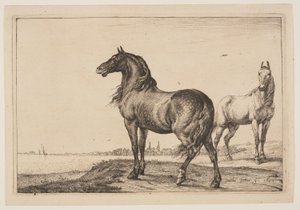 クロップド・ホース（馬シリーズより 作： Paulus Potter