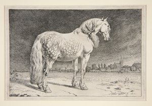 フリースラントの馬 作： Paulus Potter