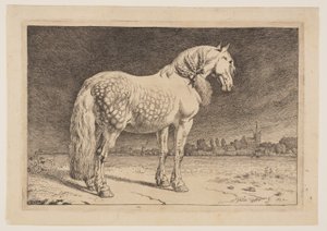 馬シリーズより「フリジアの馬 作： Paulus Potter
