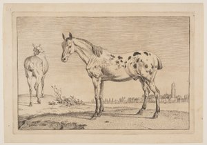 馬のシリーズより「嘶く馬 作： Paulus Potter