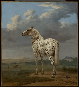 パイハゲ」の馬 作： Paulus Potter