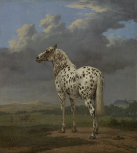 「まだら」の馬、c.1650-4（キャンバスに油彩） 作： Paulus Potter