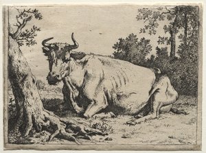 木の近くに横たわっている牛。 作： Paulus Potter