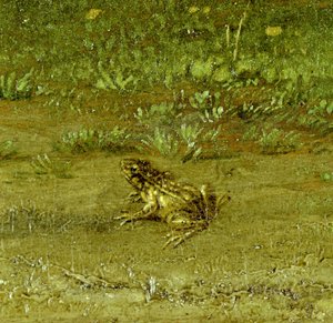 ヒキガエル、彼の群れと仲間の同郷人の詳細、1648年（242089を参照） 作： Paulus Potter