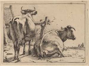 後ろから見た2頭の牛 作： Paulus Potter