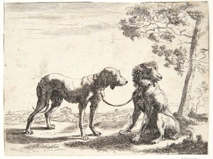 繋がれた二匹の犬 作： Paulus van Hillegaert (II)