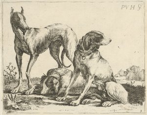 3匹の犬 いろいろな犬（連載タイトル） 作： Pauwels van Hillegaert