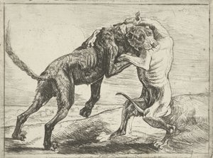 2匹の闘犬 犬（シリーズタイトル） 作： Pauwels van Hillegaert