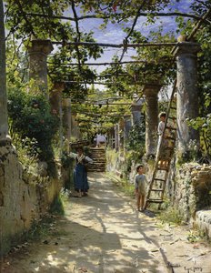 イタリアのパーゴラの影で、アナカプリの暖かい午後