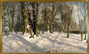 日光の下で雪に覆われた冬の森