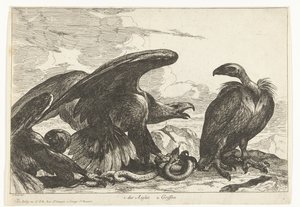 ハゲワシとワシとヘビ 1. des Aigles 2. グリフォン (オブジェクトのタイトル) ベルサイユ動物園の鳥 (シリーズ名) 作： Peeter Boel (attributed to)