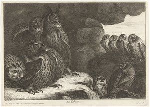 洞窟のフクロウ des Ducs (オブジェクトのタイトル) ベルサイユ動物園の鳥 (シリーズ名) 作： Peeter Boel (attributed to)
