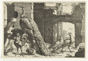 孔雀と他の動物 Diversi uccelli (シリーズタイトル) 作： Peeter Boel