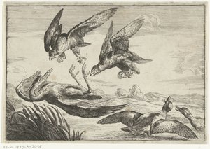 2羽のハヤブサがサギを攻撃 Diversi uccelli (シリーズタイトル) 作： Peeter Boel