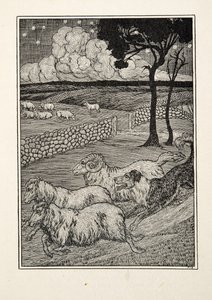 百匹の動物の逸話、パブからの犬の羊の盗賊。 1924