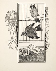 動物の百の逸話、パブからの慈善カナリア。 1924