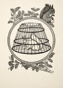 動物の百の逸話、パブからの難民のリス。 1924 作： Percy J. Billingshurst