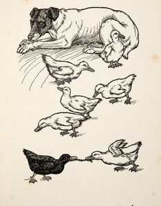 動物の百の逸話、パブからの単数の里親母。 1924 作： Percy J. Billingshurst