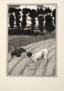 動物の百の逸話からの野鳥捕獲者を欺くこと、パブ。 1924 作： Percy J. Billingshurst