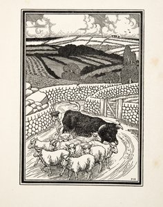 動物の百話、パブから市場に行く。 1924 作： Percy J. Billingshurst