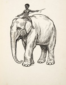 動物の百話、パブからの反省。 1924