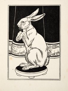 動物の百の逸話、パブから飼いならされたウサギ。 1924 作： Percy J. Billingshurst