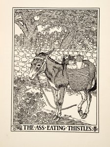 イソップの百寓話、アザミを食べる尻、pub.1903 作： Percy J. Billingshurst