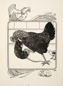 動物の百話、パブからの雌鳥の英雄。 1924 作： Percy J. Billingshurst