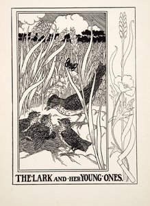 イソップ寓話集』より「ヒバリとその子供たち」（1903年刊）（彫刻 作： Percy J. Billingshurst