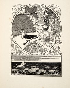 飼いならされたカモメ（『動物百景』より）。1924年に出版されたもので、彫刻です。 作： Percy J. Billingshurst