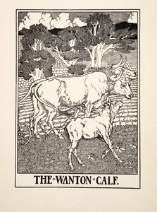 イソップの百寓話からのワントンの子牛、pub.1903