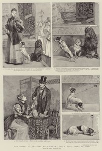 犬の視点から見た女性との買い物の悲惨さ