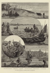 私たちの漁業：イーストボーンでのサバ釣り 作： Percy Robert Craft
