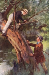 Now, you Come Down this Minute (color litho) 作： Percy Tarrant
