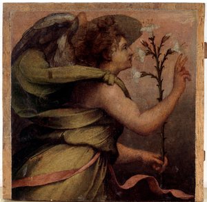 受胎告知の天使」細部（木部に油彩、1535年頃 作： Perino del Vaga