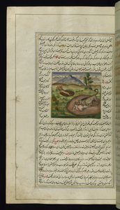 ジャッカルは1847のライトのカノープスからウサギをむさぼり食う 作： Persian School