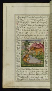 うさぎに騙された邪悪なライオンが井戸を覗き込み、カノプスの光からの反射を見る 作： Persian School